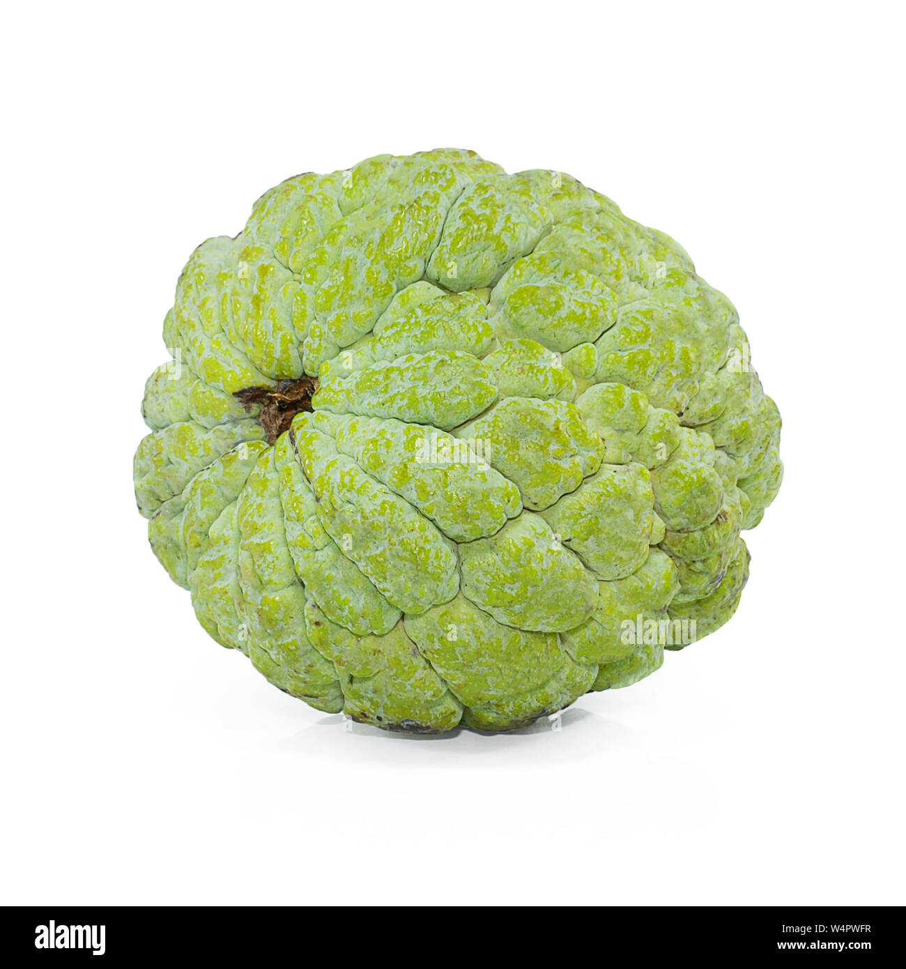 Annona or Custard apple isolated on white background Stock Photo