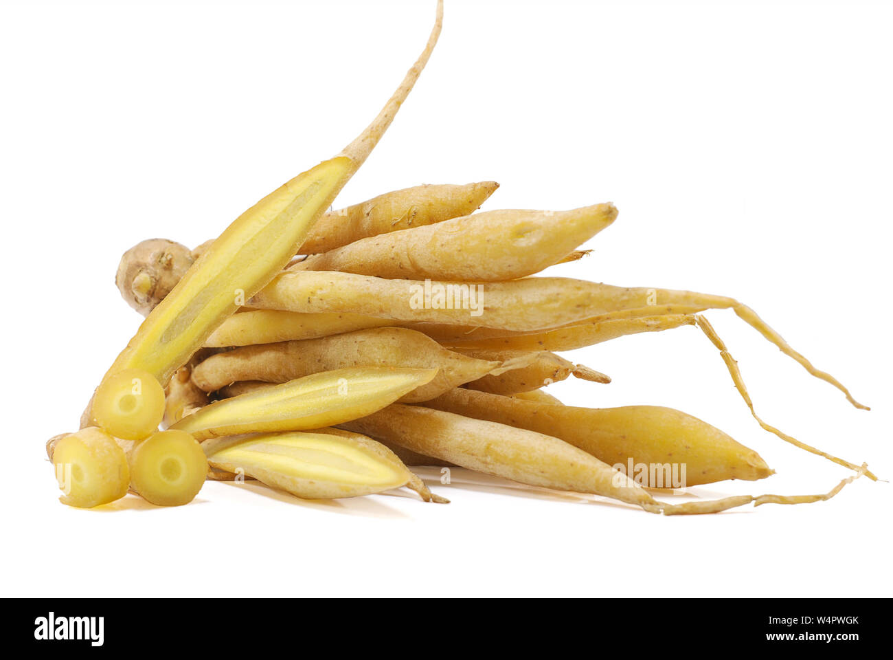 Fingerroot isolated on white background Stock Photo - Alamy