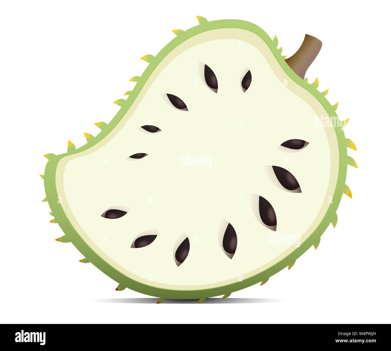 Page 2 Sour Sop High Resolution Stock Photography And Images Alamy Page 2 Sour Sop High Resolution Stock Photography And Images Alamy
