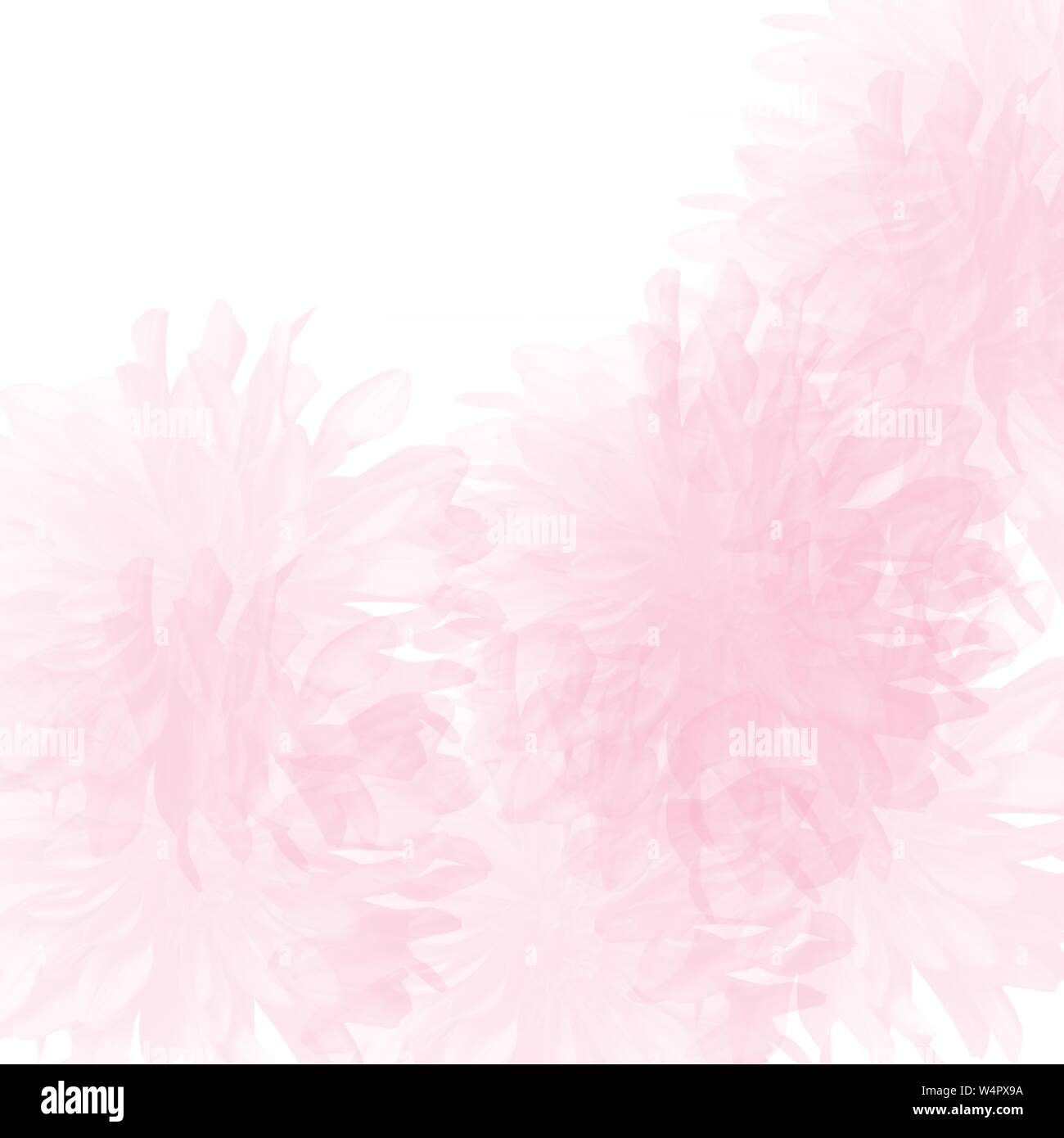 light pink hand drawn watercolor transparent dahlia petals background pattern with white upper corner Stock Photo