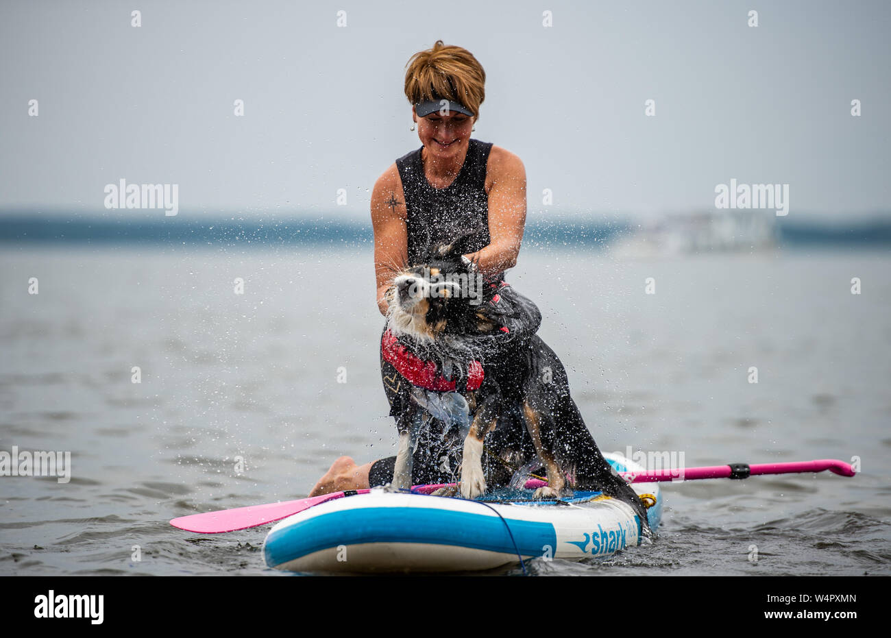 Steinhude, Germany. 11th July, 2019. Stephanie Pohler sits on a stand-up paddle board with the Australian Shepherd "Barney". On the Steinhuder Lake a course for stand-up paddling with dogs is offered. Credit: Christophe Gateau/dpa/Alamy Live News Stock Photo