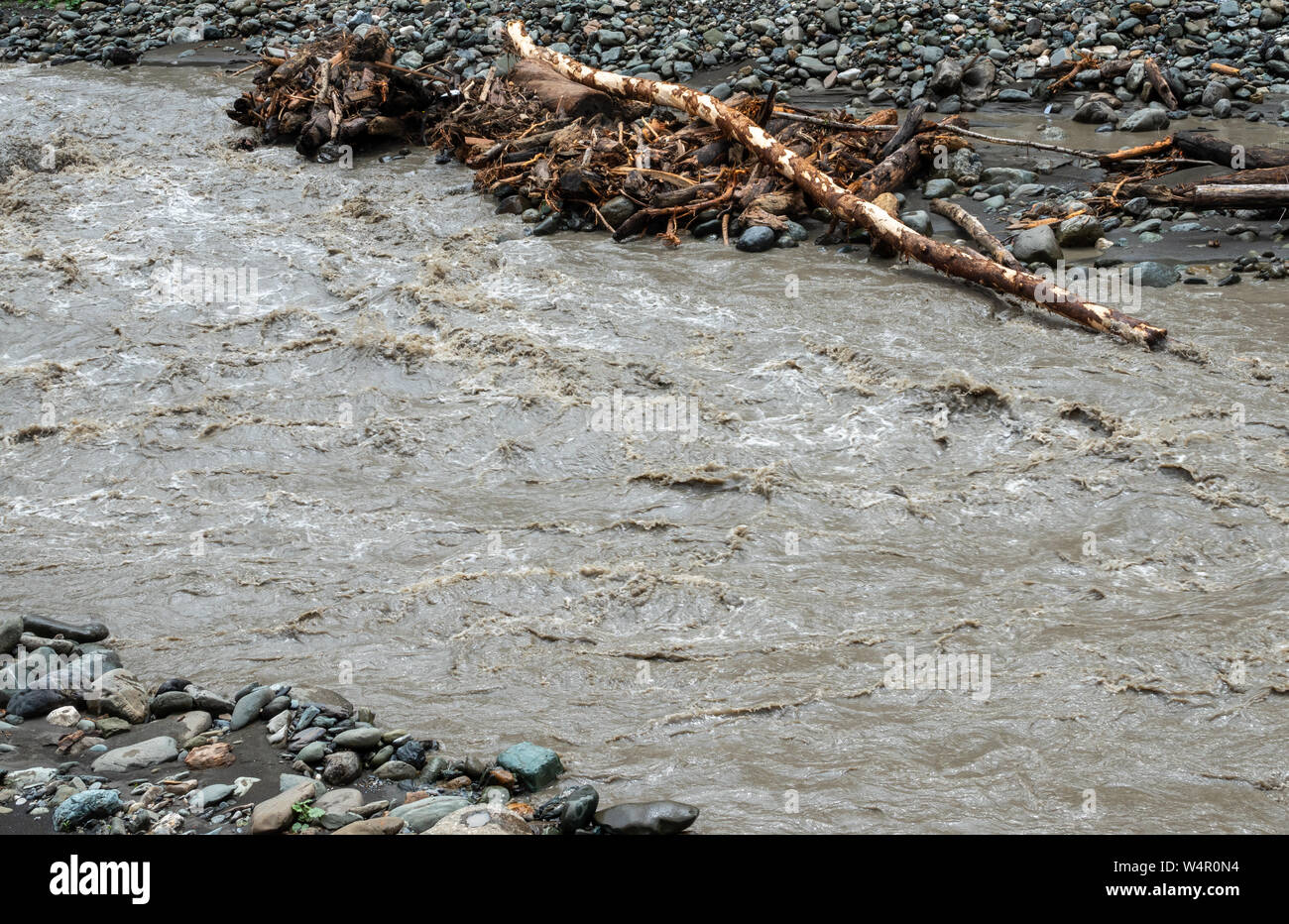 The powerful flow of a mountain river in the spring. Spring flood Stock ...