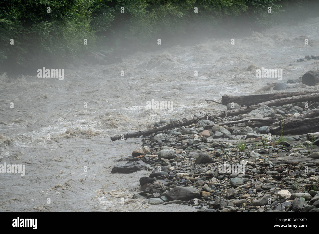 The powerful flow of a mountain river in the spring. Spring flood Stock ...