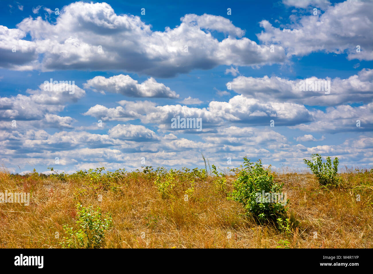 Summer landscape with clouds and blue sky Stock Photo - Alamy