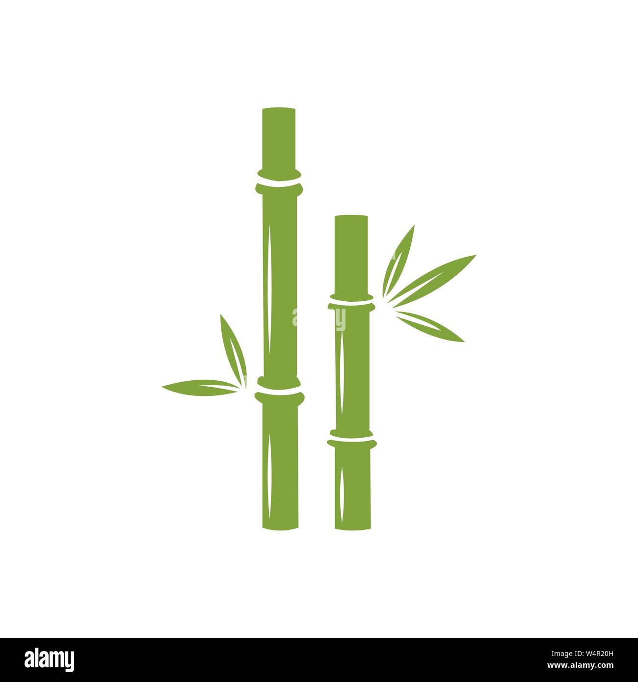 Bamboo vector icon illustration design template Stock Vector Image ...