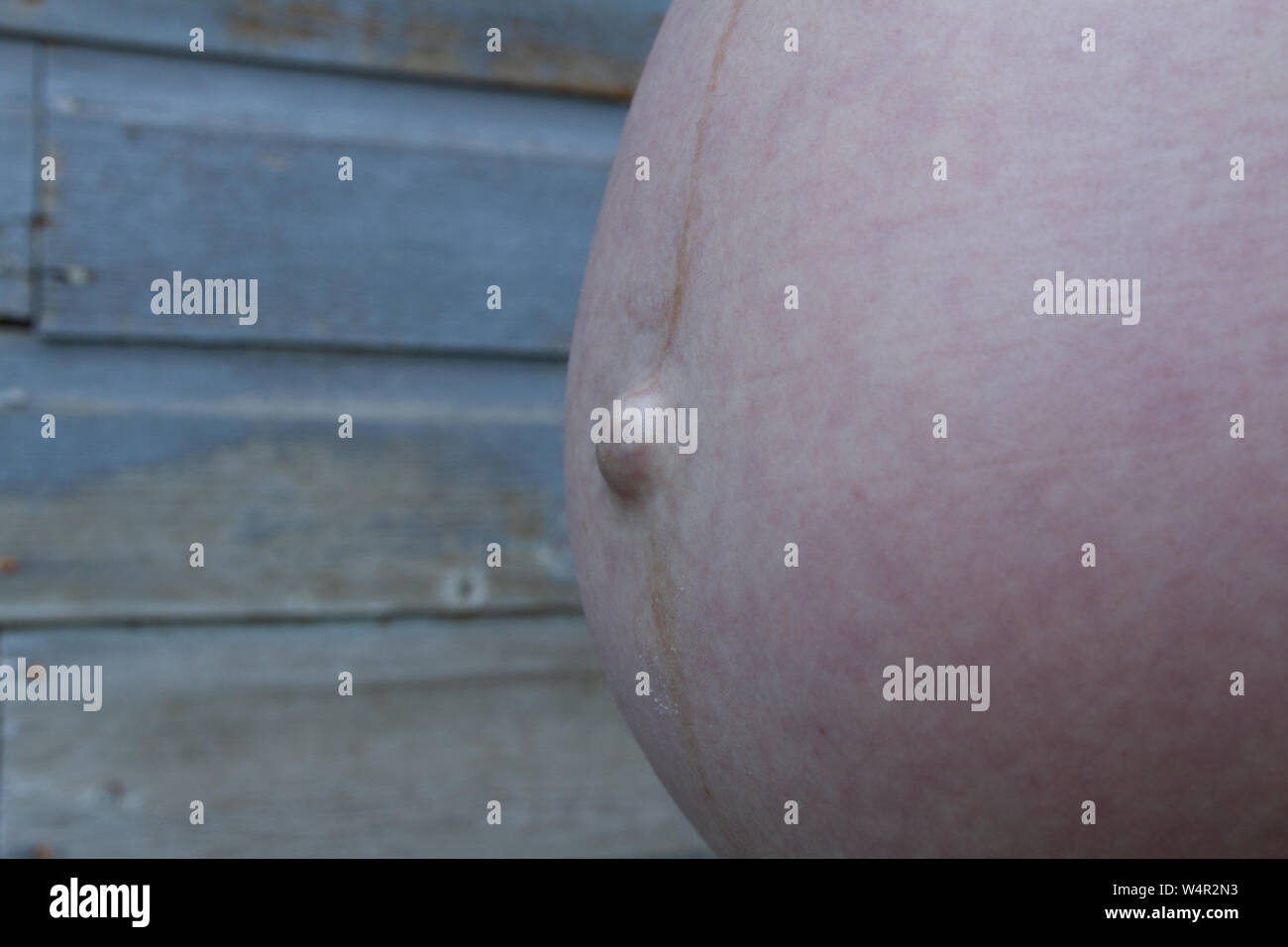 Close up of a late in the third trimester pregnant woman's baby bump with an outie belly button and pregnancy line, or linea nigra. Stock Photo