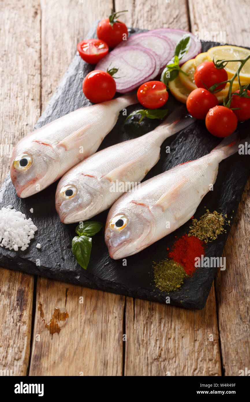 Gilt Head Sea Bream High Resolution Stock Photography and Images - Alamy