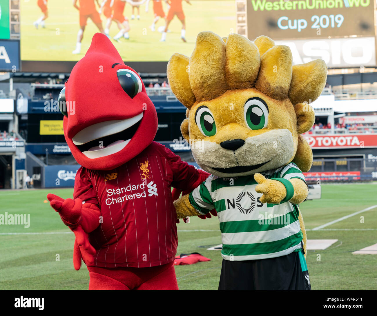 New York, NY - July 24, 2019: Liverpool FC mascot Mighty Red & Sporting CP Lion Jubas as seen on the pitch before pre-season game against Sporting CP at Yankee stadium Game ended in draw 2 - 2 Stock Photo