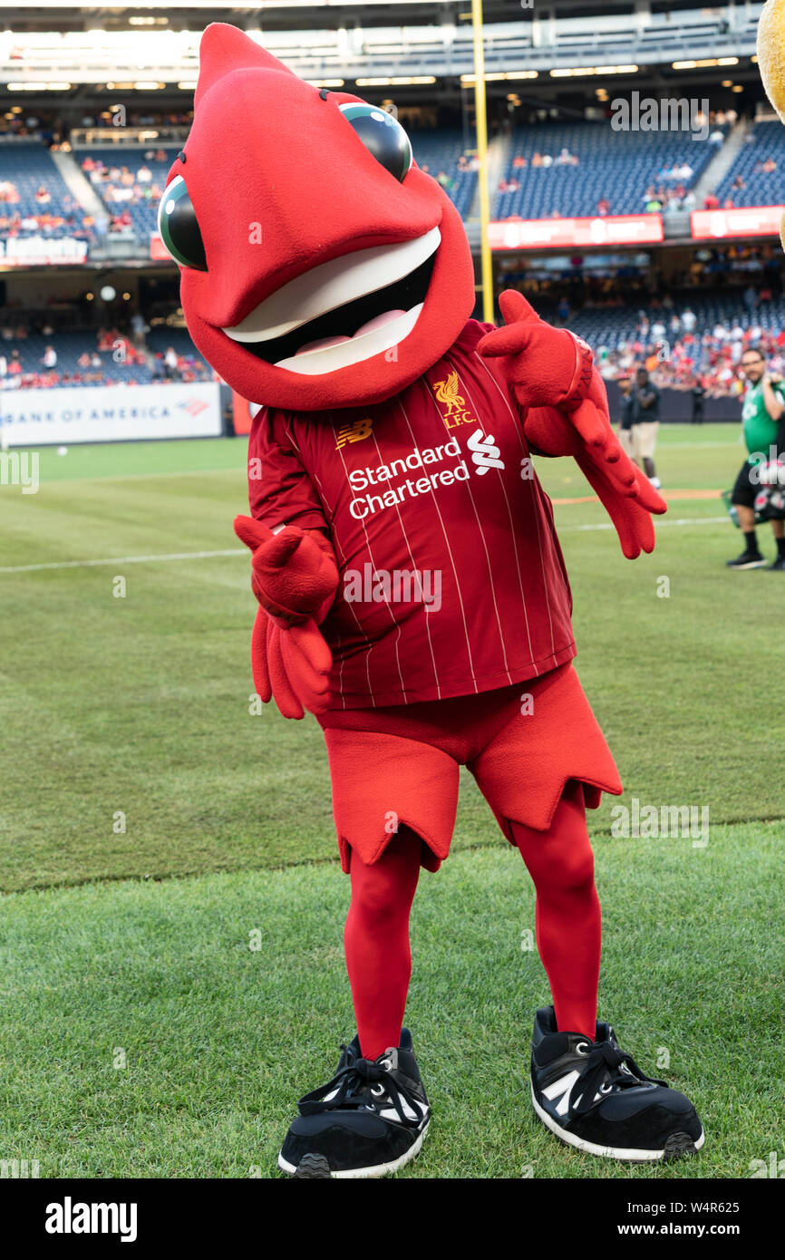 New York, NY - July 24, 2019: Liverpool FC mascot Mighty Red as seen on the pitch before pre-season game against Sporting CP at Yankee stadium Game ended in draw 2 - 2 Stock Photo