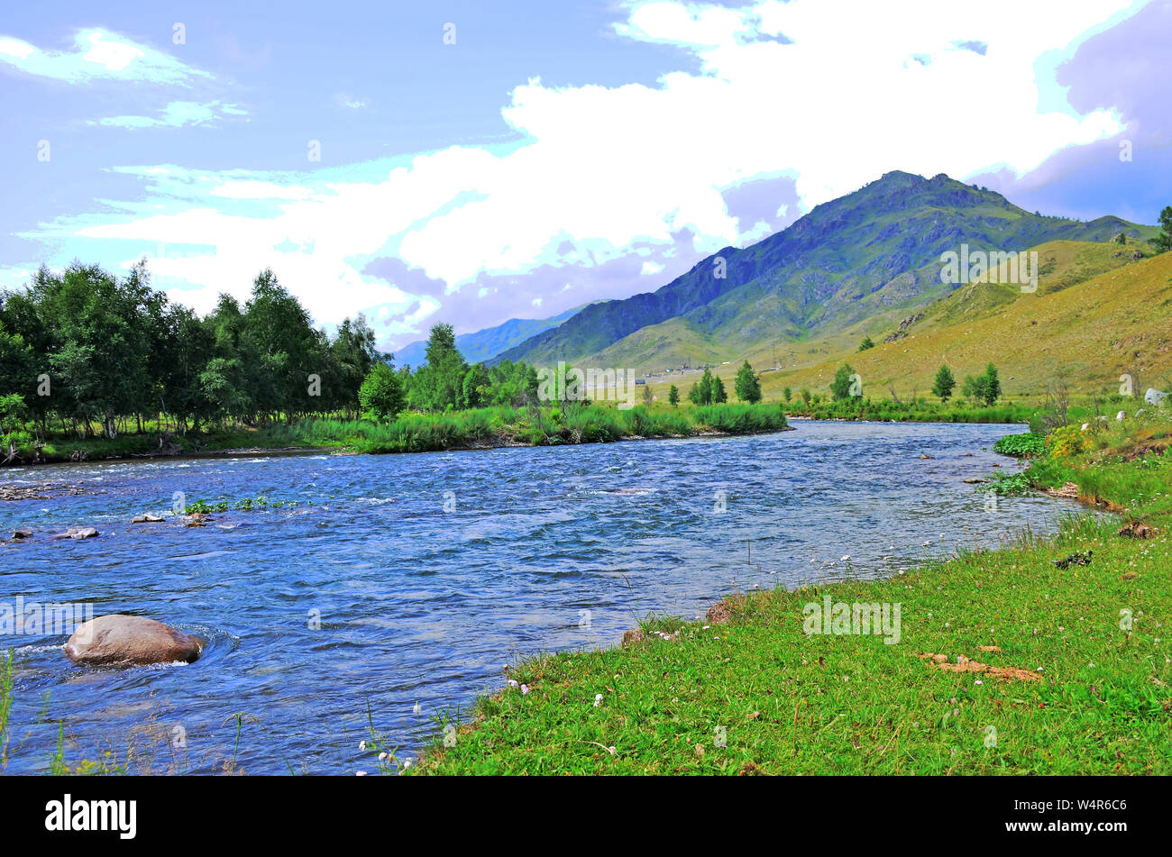 Landscape the mountain river of the mountain of a plant and trees ...