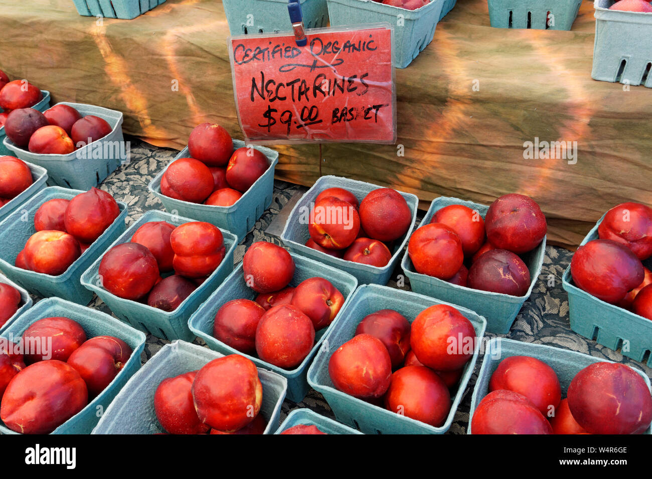 Cardboard containers of fresh organic nectarines for sale at a farmers market in Kitsilano, Vancouver, BC, Canada Stock Photo