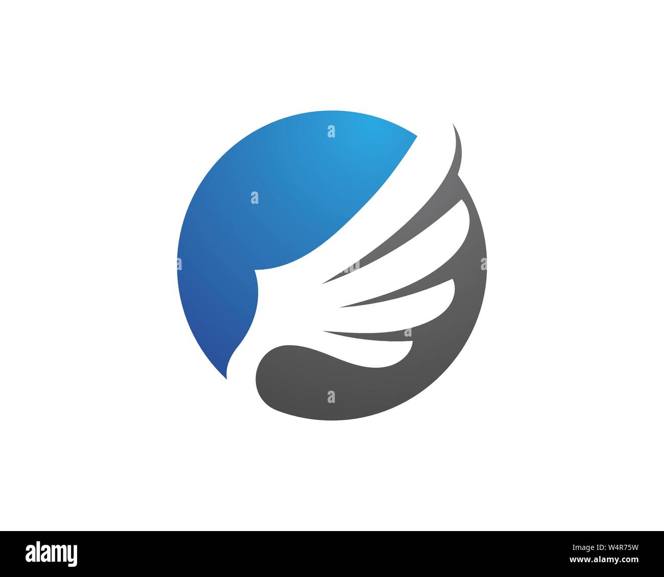 Falcon wing Logo Template vector illustration design Stock Vector Image ...