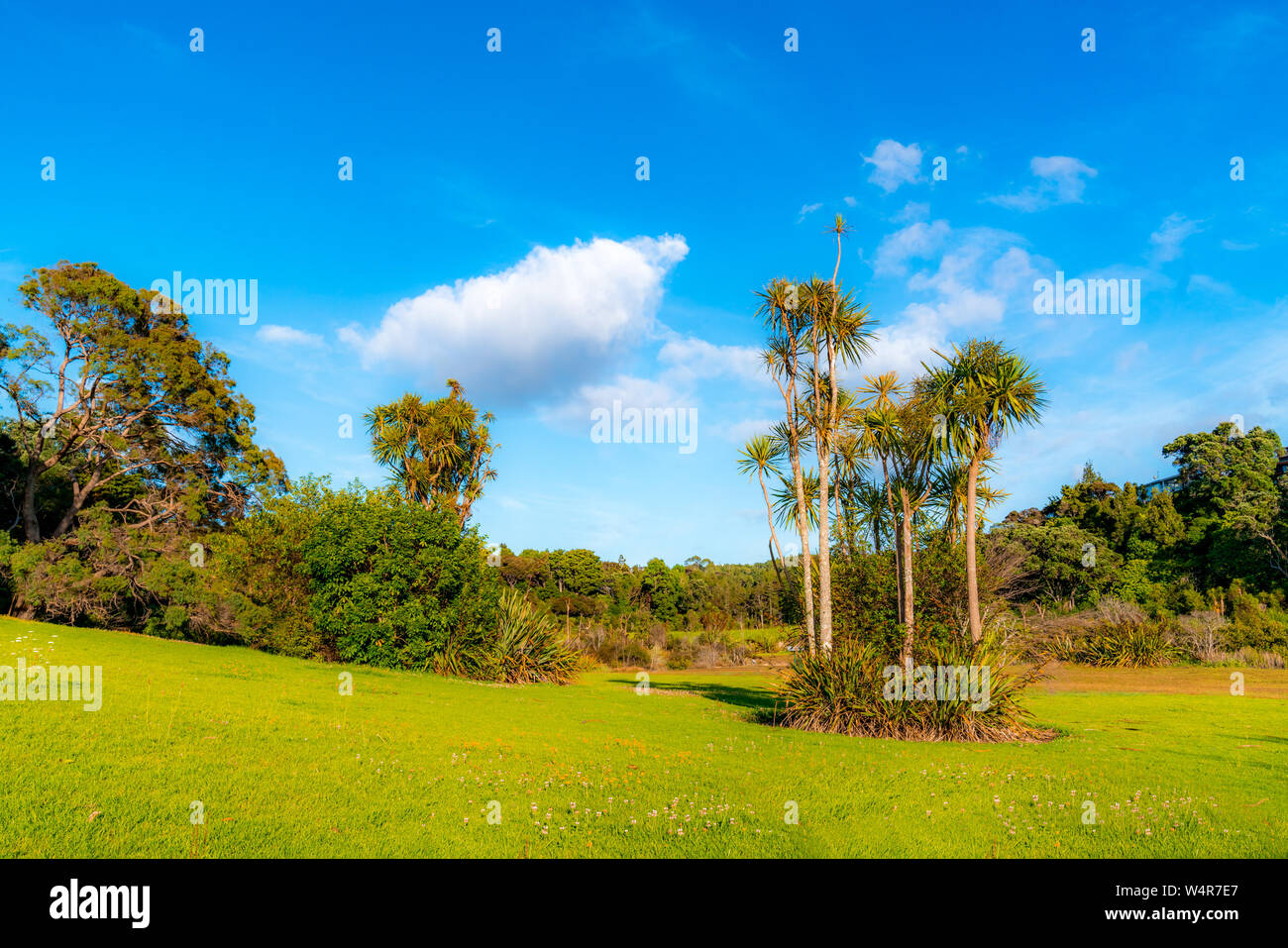 Northcote Point, New Zealand Stock Photo - Alamy