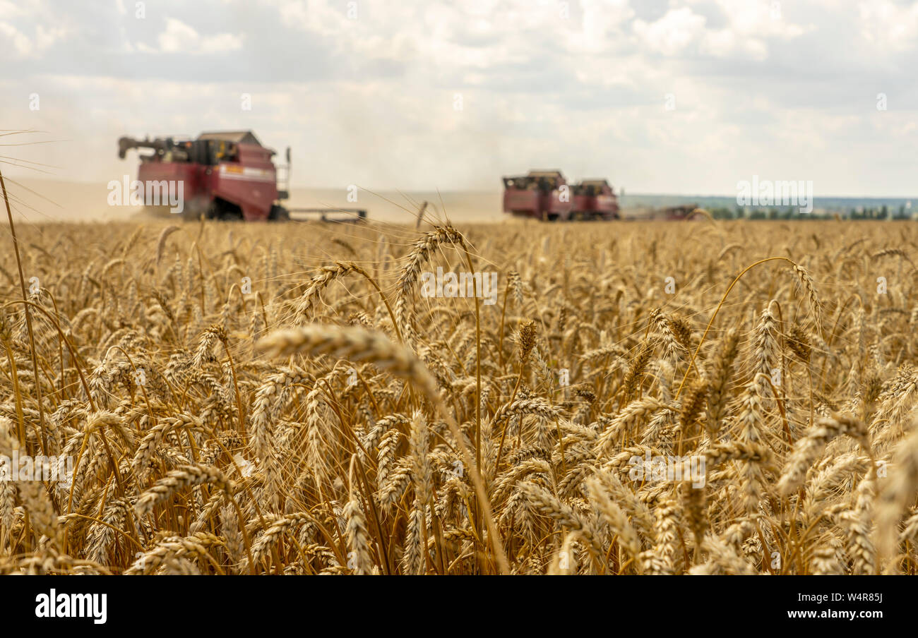 The battle for the harvest in Russia, combines and other agricultural ...