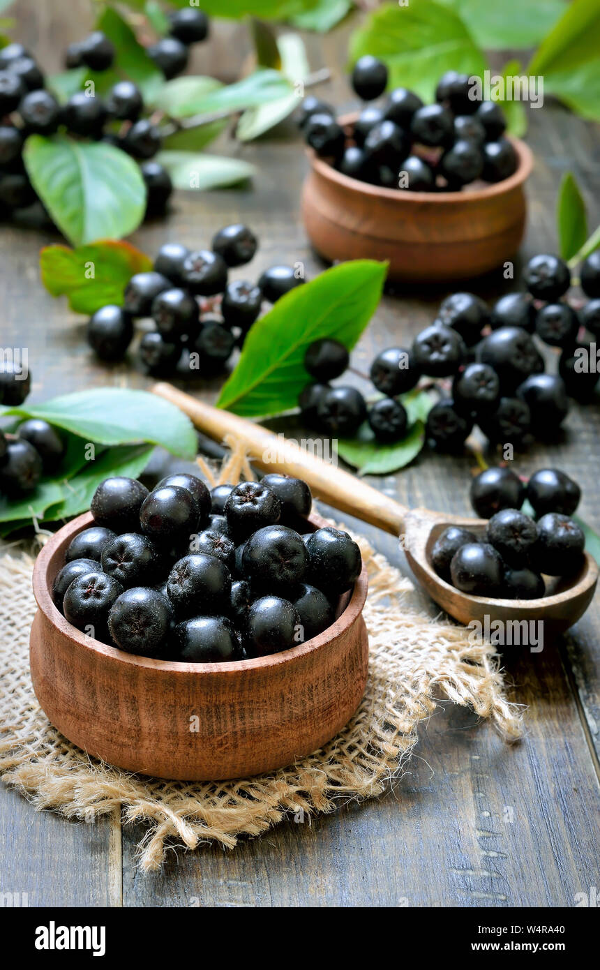 Black chokeberry in wooden bowl, close up Stock Photo
