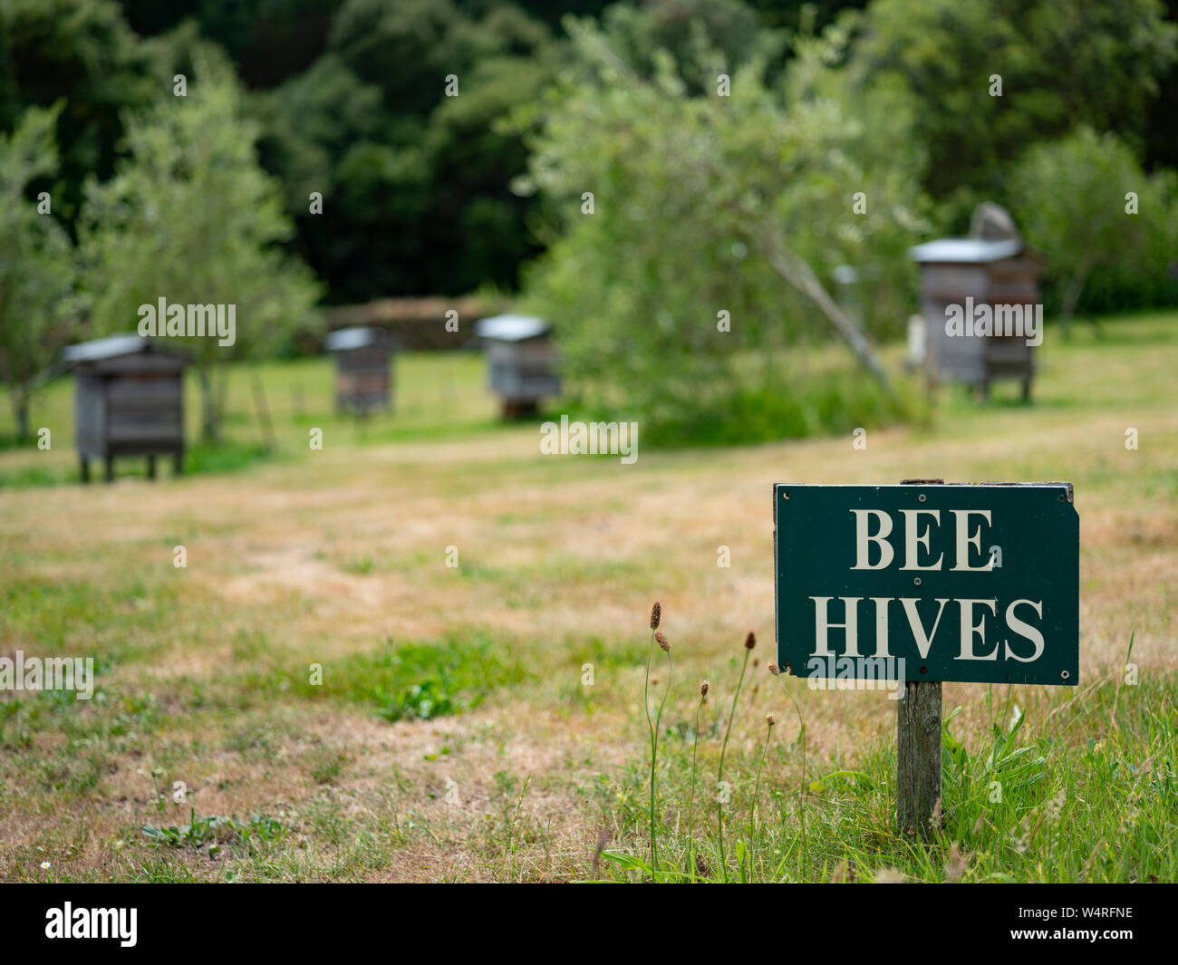 Bees hives uk hi-res stock photography and images - Alamy