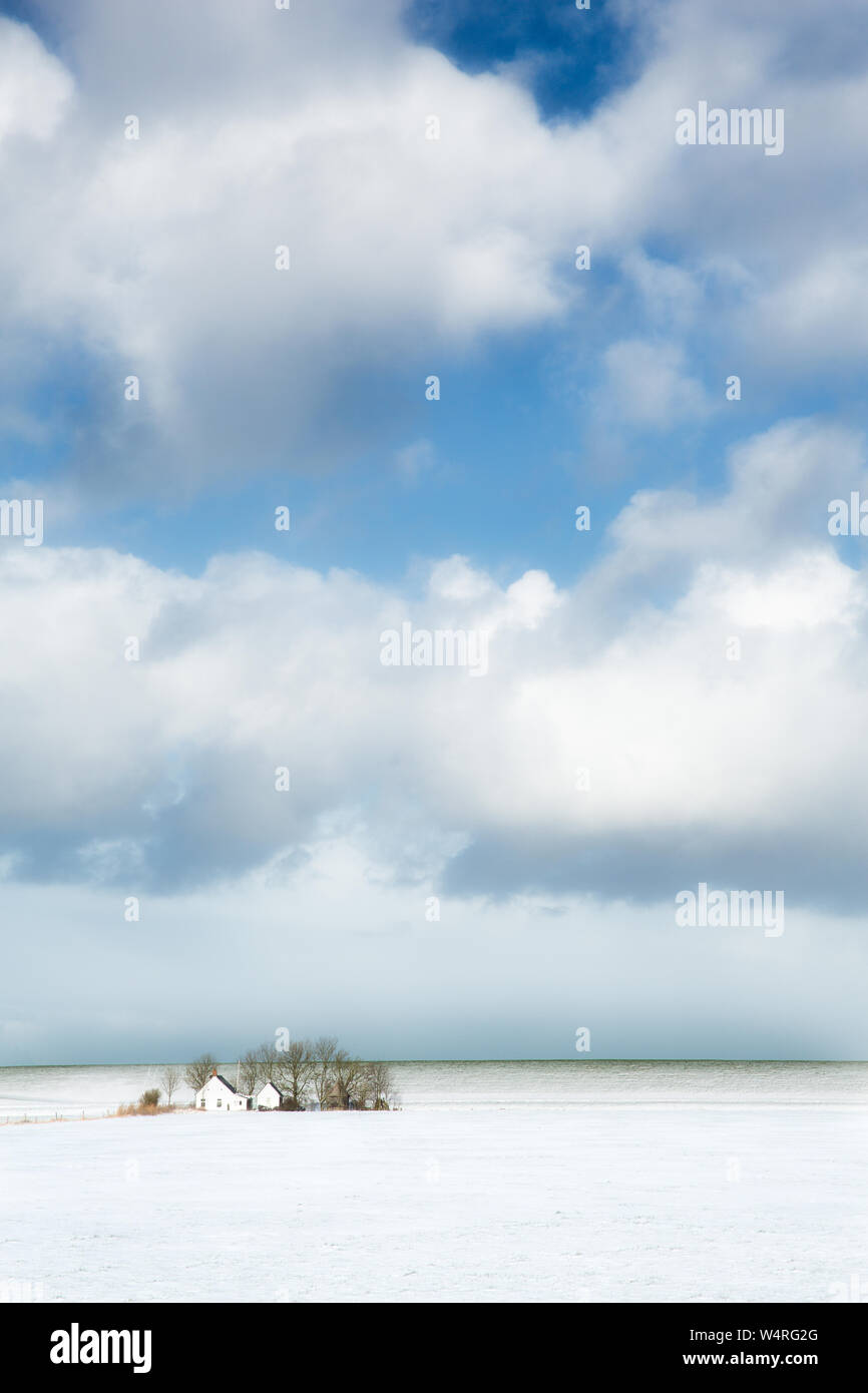 Winter landscape with snow in the fields and a lone farm in the background and a big sky - The Netherlands Stock Photo