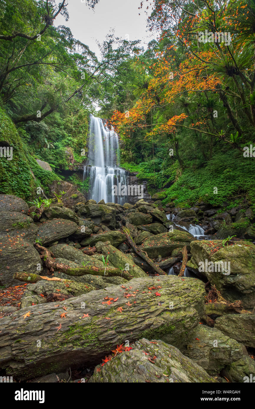 Cascading waterfall on rocks in autumn forest, New Taipei City, Taiwan Stock Photo