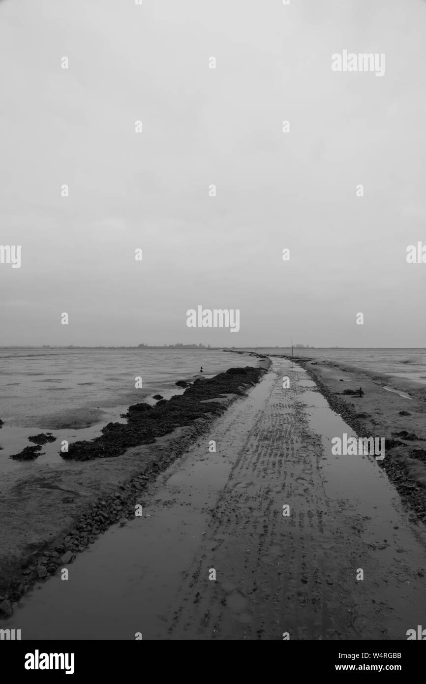 Island Road across The Wade, Hamford Water, Essex, England, UK Stock Photo