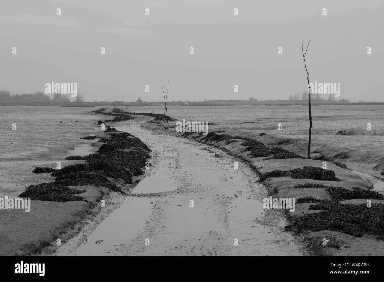 Island Road across The Wade, Hamford Water, Essex, England, UK Stock Photo