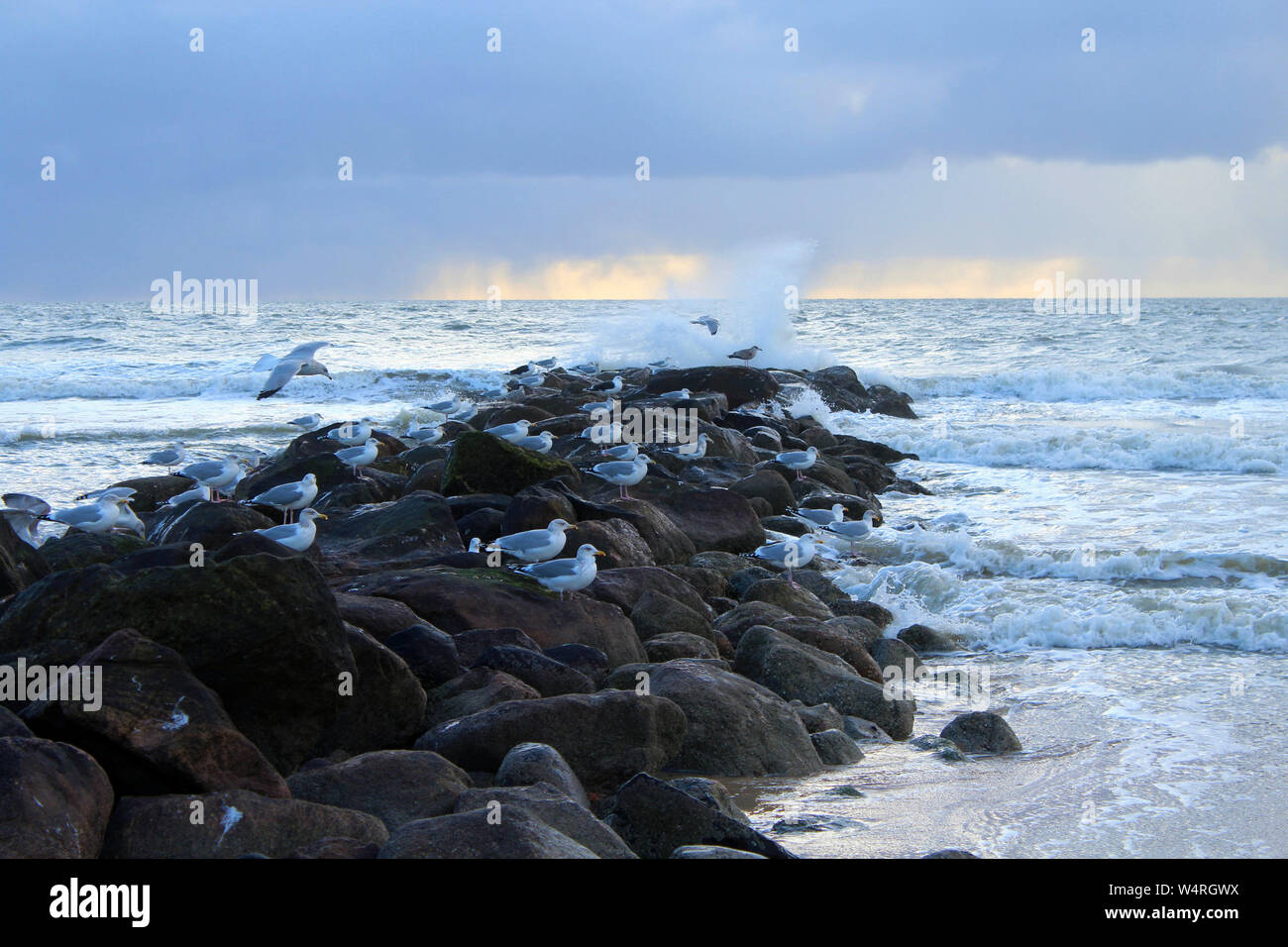 Strand of rocks hi-res stock photography and images - Alamy