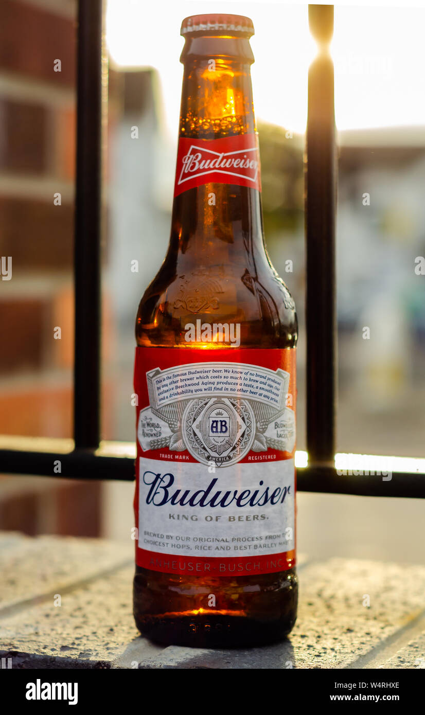 Bottle of Budweiser Beer Stock Photo Alamy