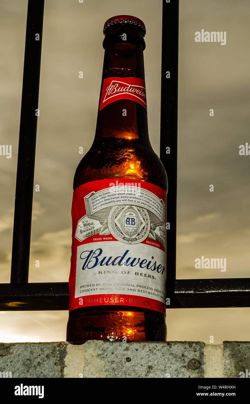 Bottle of Budweiser Beer Stock Photo Alamy