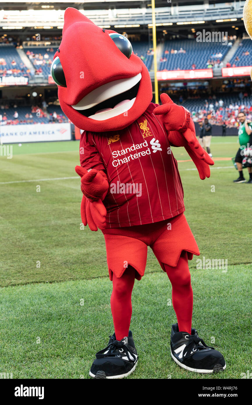 New York, United States. 24th July, 2019. Liverpool FC mascot Mighty Red as seen on the pitch before pre-season game against Sporting CP at Yankee stadium Game ended in draw 2 - 2 Credit: Lev Radin/Pacific Press/Alamy Live News Stock Photo