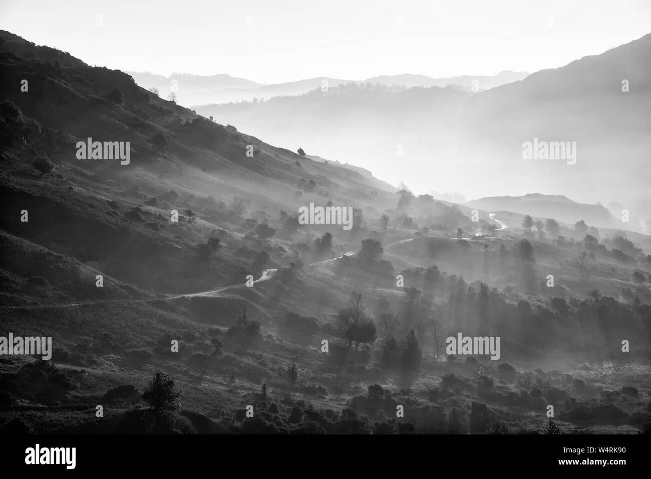 Gold sun beams Black and White Stock Photos & Images - Alamy