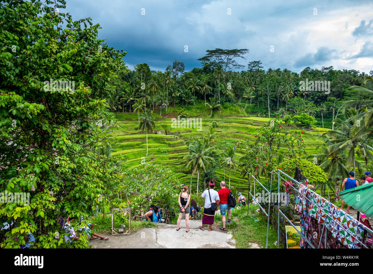 Tegallalang rice terraces, Ubud, Bali, Indonesia Stock Photo