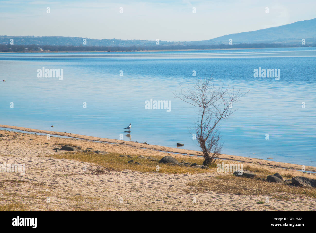 Santillana reservoir. Manzanares El Real, Madrid province, Spain. Stock Photo