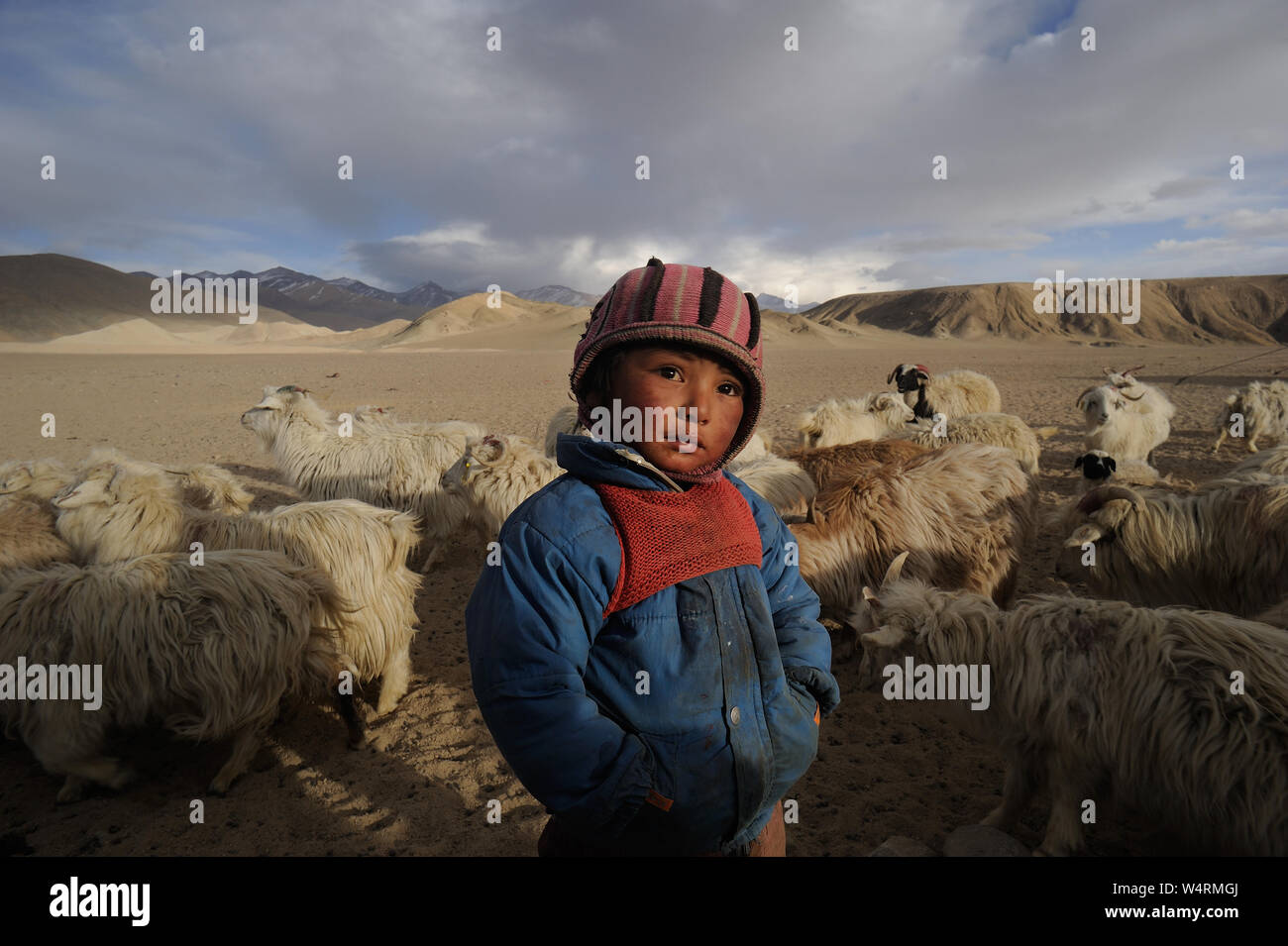 Nomadic tribes of india hi-res stock photography and images - Alamy