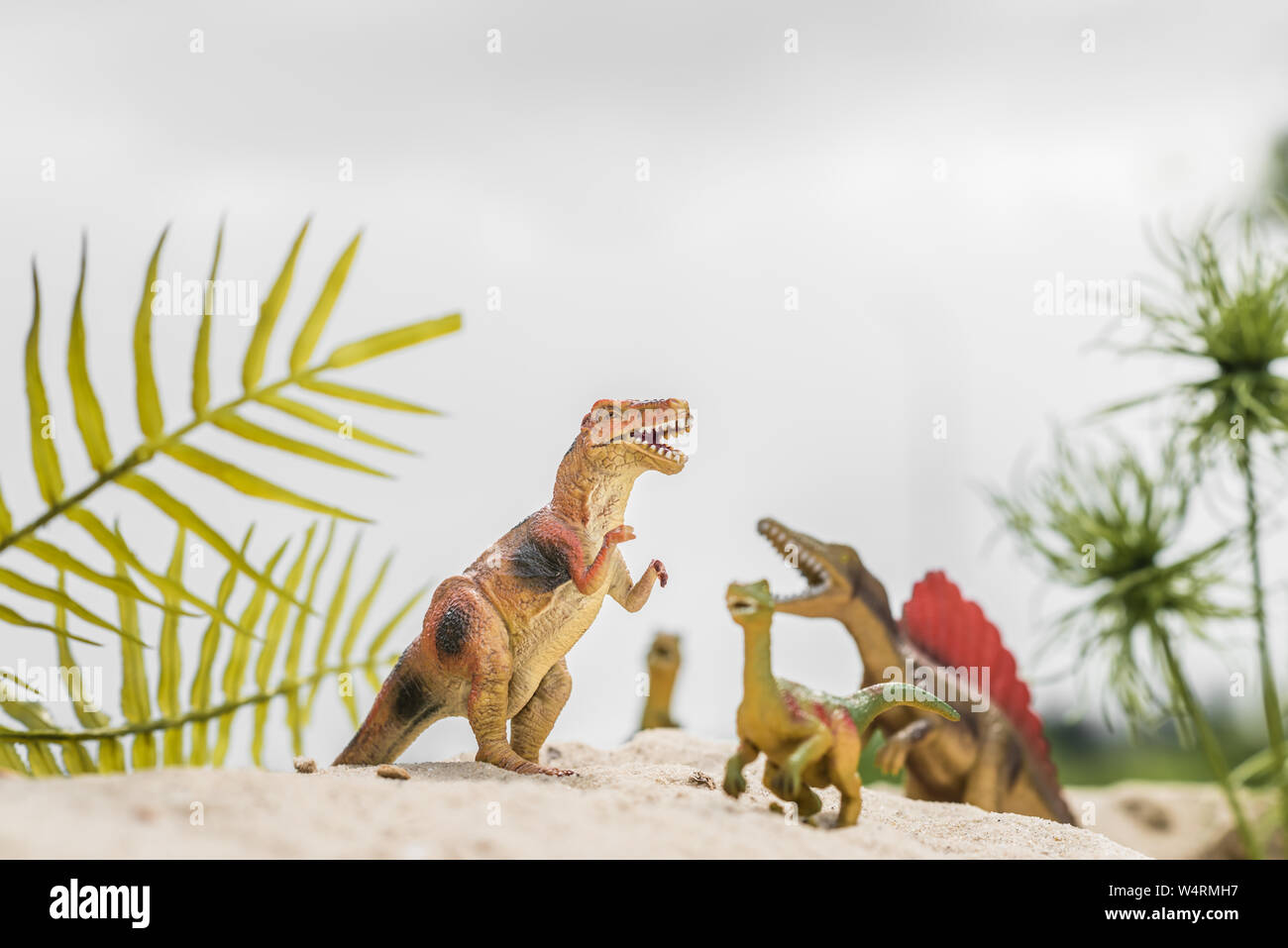 selective focus of toy dinosaurs on sand dune among tropical plants Stock Photo