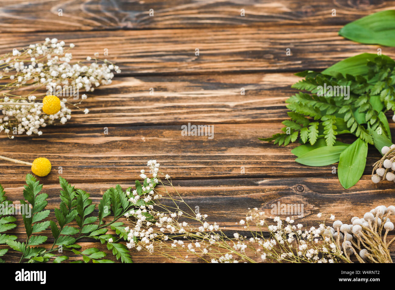 top view of white and yellow flowers and green leaves on wooden table Stock Photo