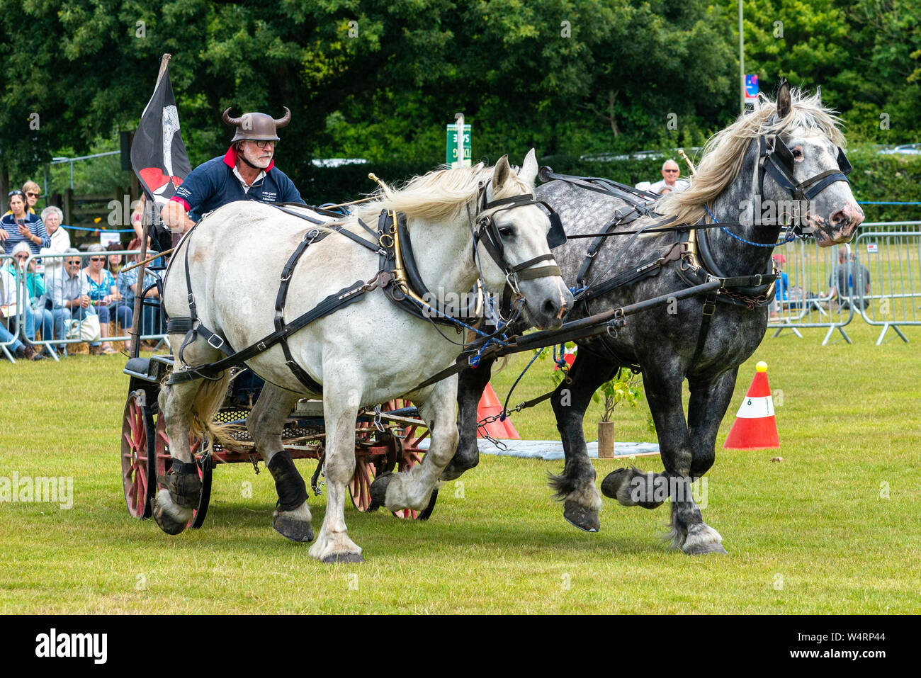 Horse and carriage racing with heavy horses at a summer fete, England