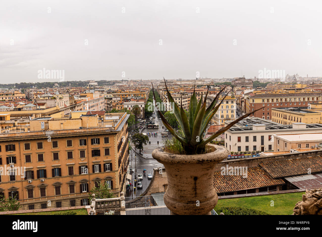 Aloe vera italy hi-res stock photography and images - Alamy