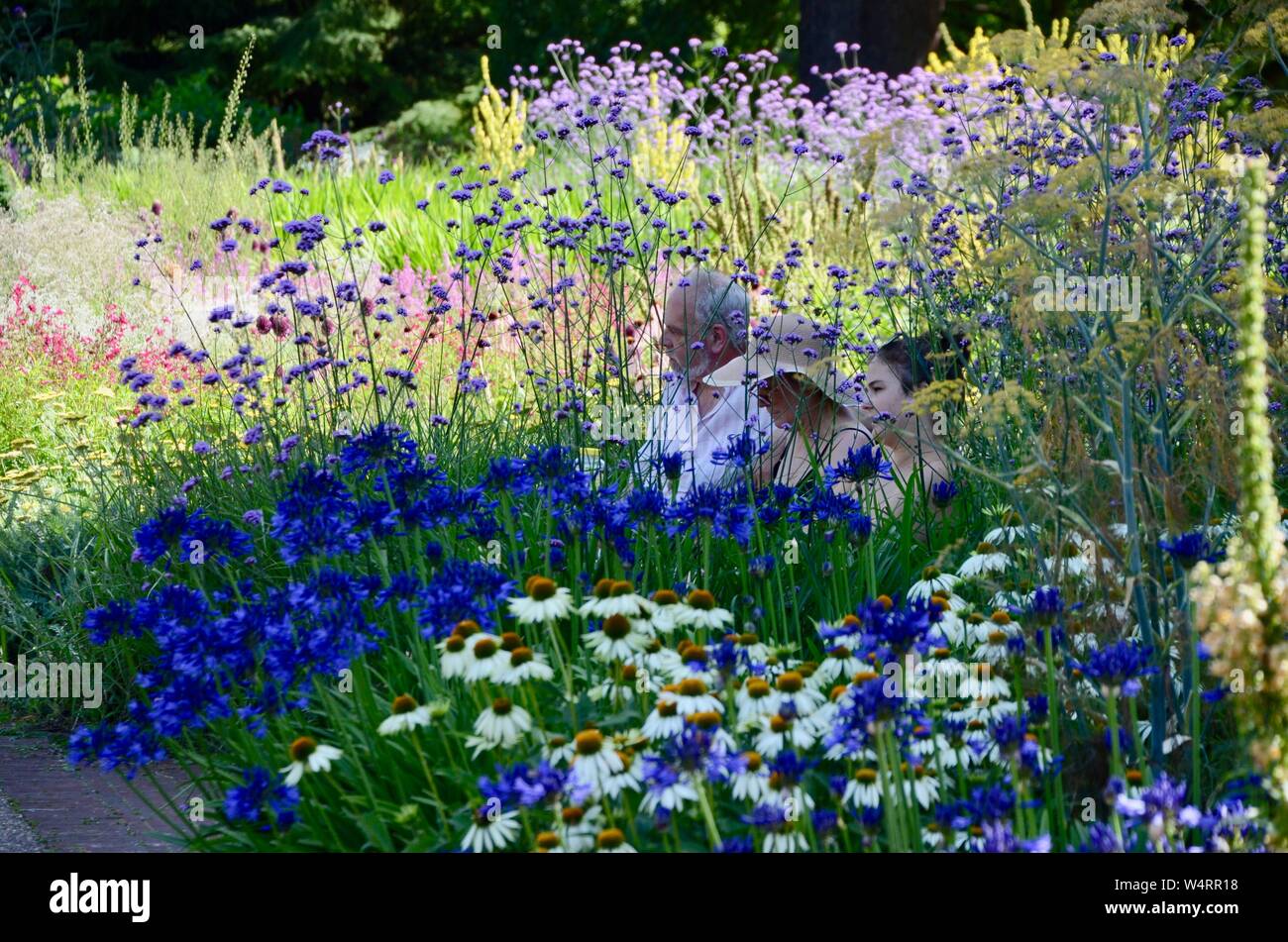 The Great Broad Walk Borders kew gardens royal botanic gardens london england UK Stock Photo