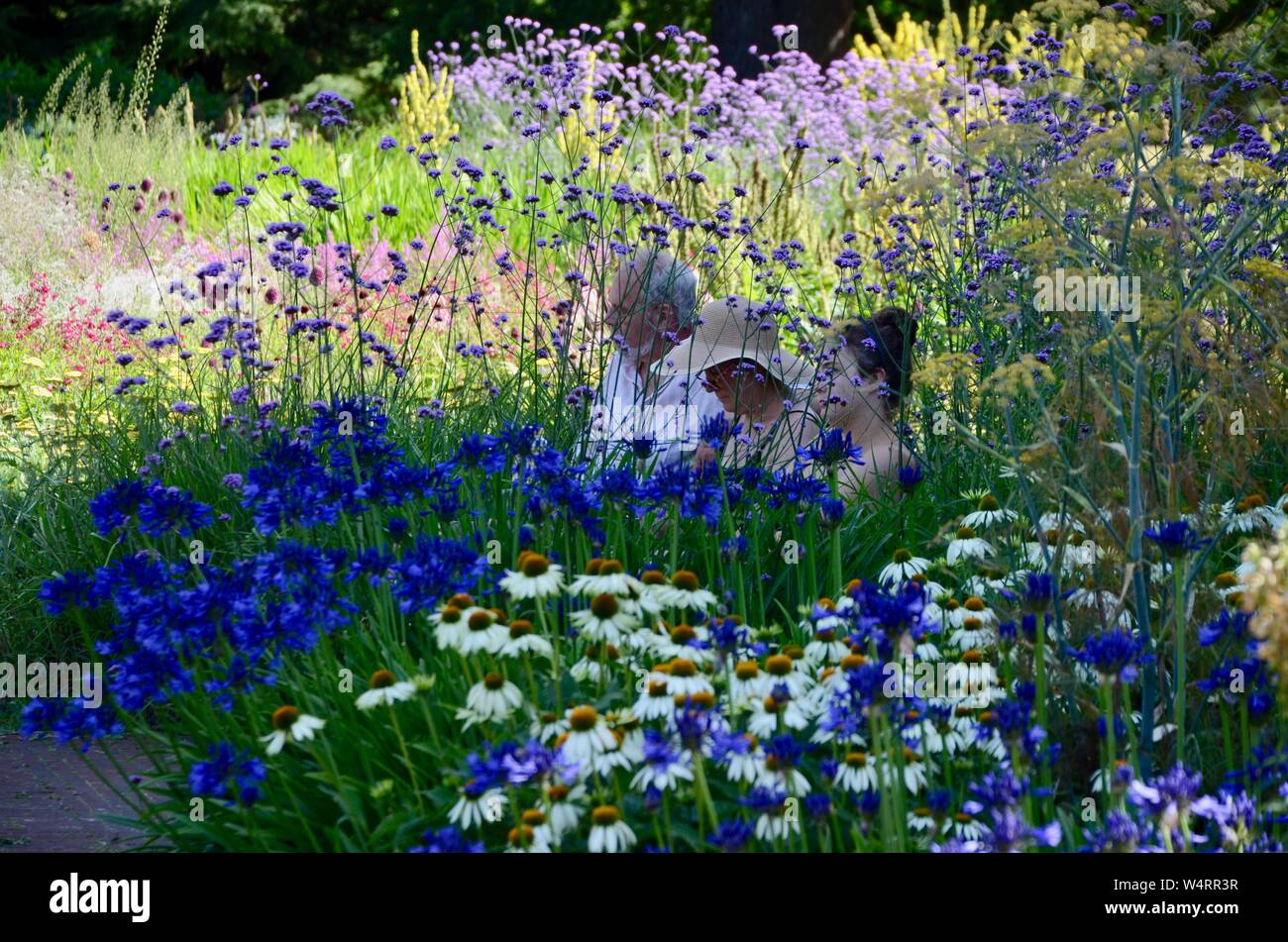 The Great Broad Walk Borders kew gardens royal botanic gardens london england UK Stock Photo