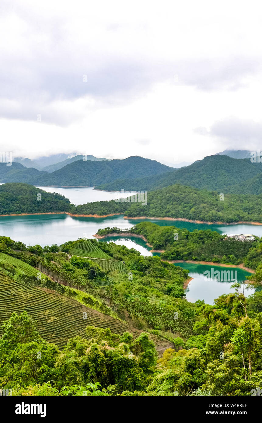 Vertical picture of stunning Taiwanese landscape by Thousand Island Lake and Pinglin Tea Plantations photographed in moody weather. Taiwan countryside. Oolong tea. China landscapes. Asia destinations. Stock Photo