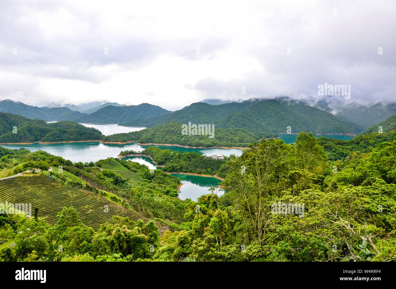 Amazing landscape by Thousand Island Lake and Pinglin Tea Plantation close to Taipei, Taiwan. Taiwanese landscape. Chinese countryside. Oolong tea. Moody weather. Hills and lake. China. Stock Photo