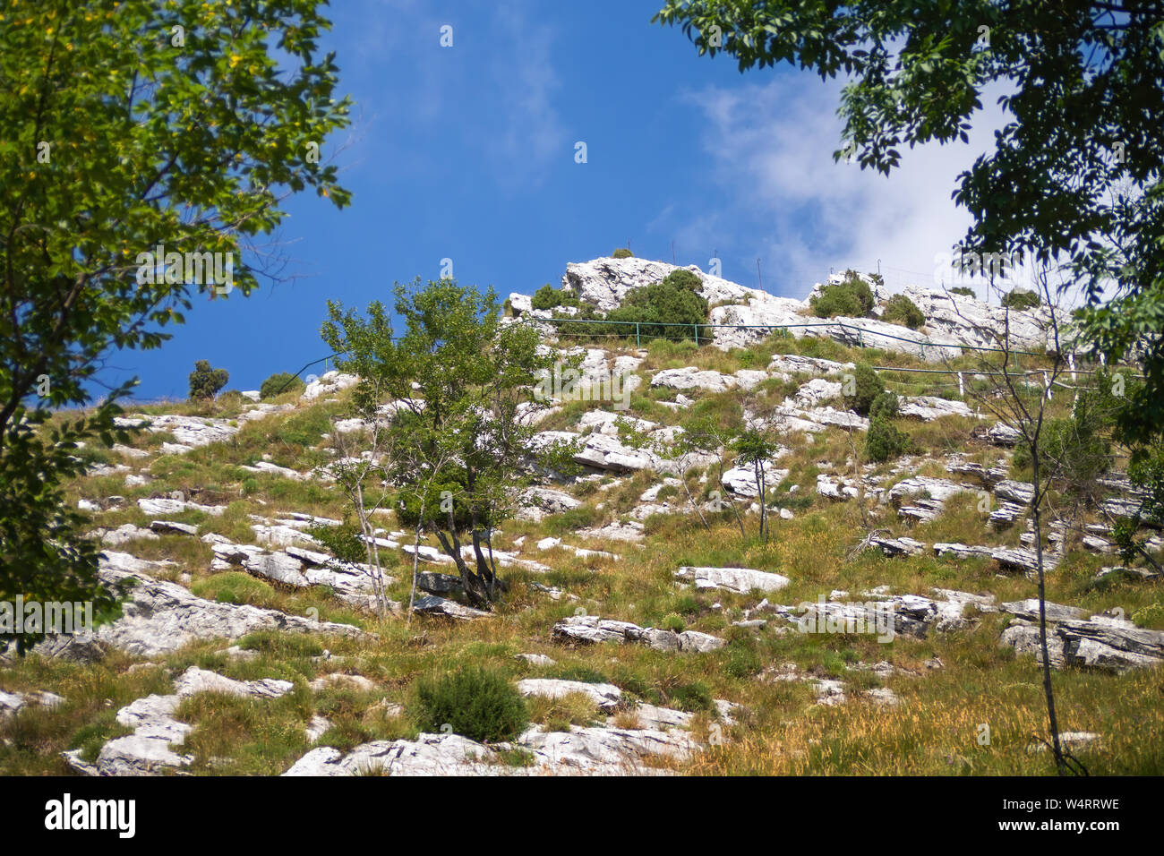PASSO DEL VESTITO, MASSA CARRARA, ITALY - JULY 5, 2019: Landscape typical of high Apuan Alps above Massa Carrara. Botanical Garden Pietro Pellegrini. Stock Photo