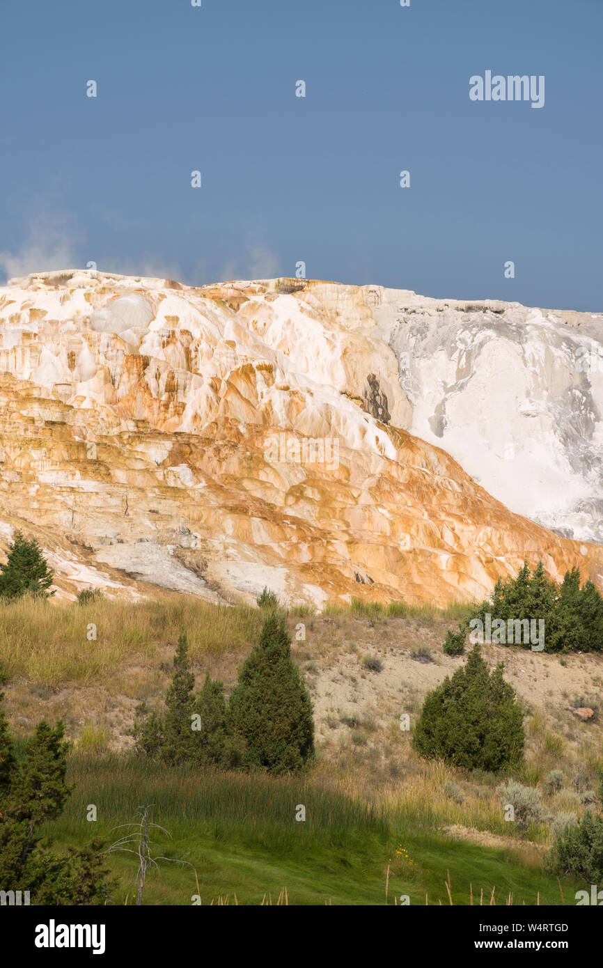 thermal springs and limestone formations at mammoth hot springs in Wyoming in America Stock