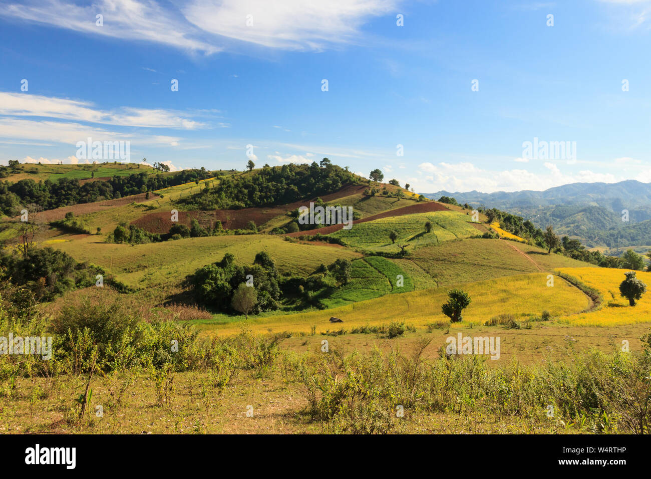 Kalaw View Views of the rollings hills of Kalaw highlands area, Myanmar Stock ...