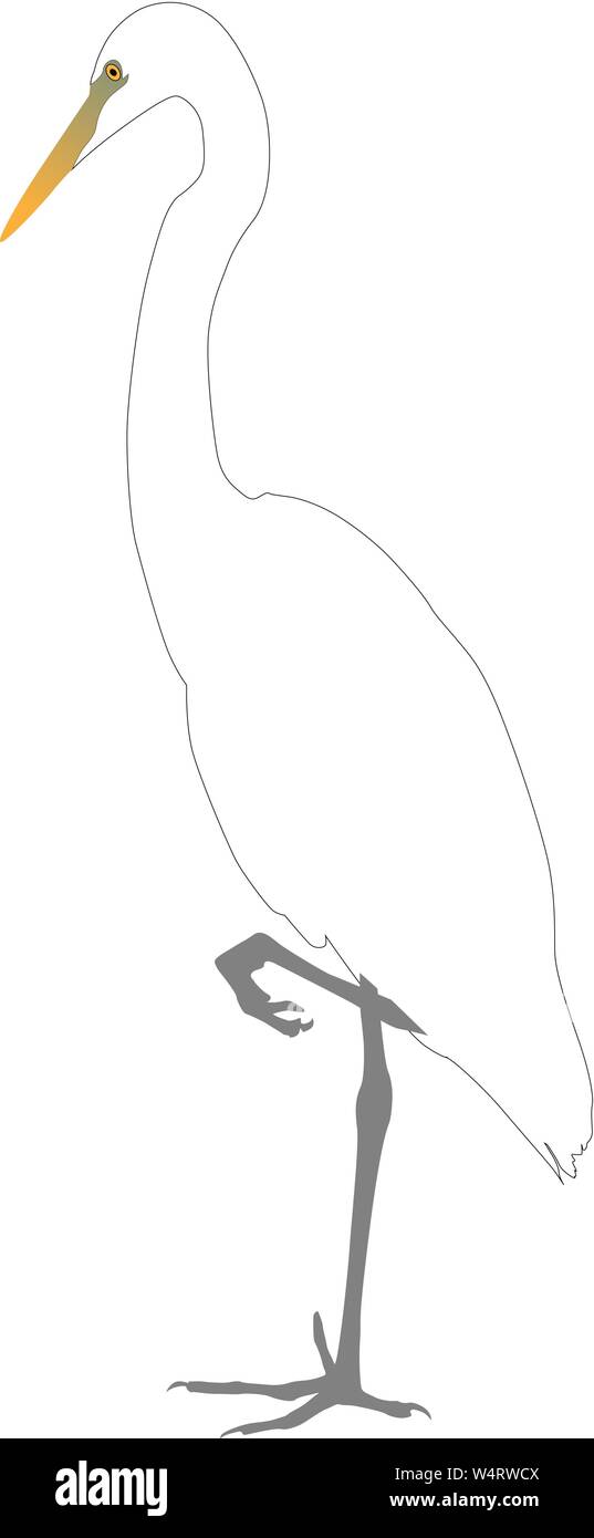 wild heron stands silhouette vector on a white background Stock Vector