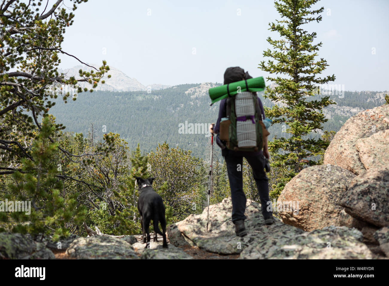 Woman and her dog hiking in mountains, Wyoming, United States Stock Photo