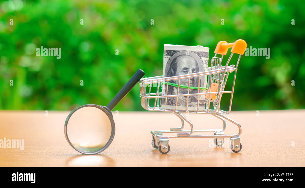 Dollars banknotes in a shopping trolley and magnifying glass. The concept of finding sources of investment and sponsors. Find a money. Charitable fund Stock Photo