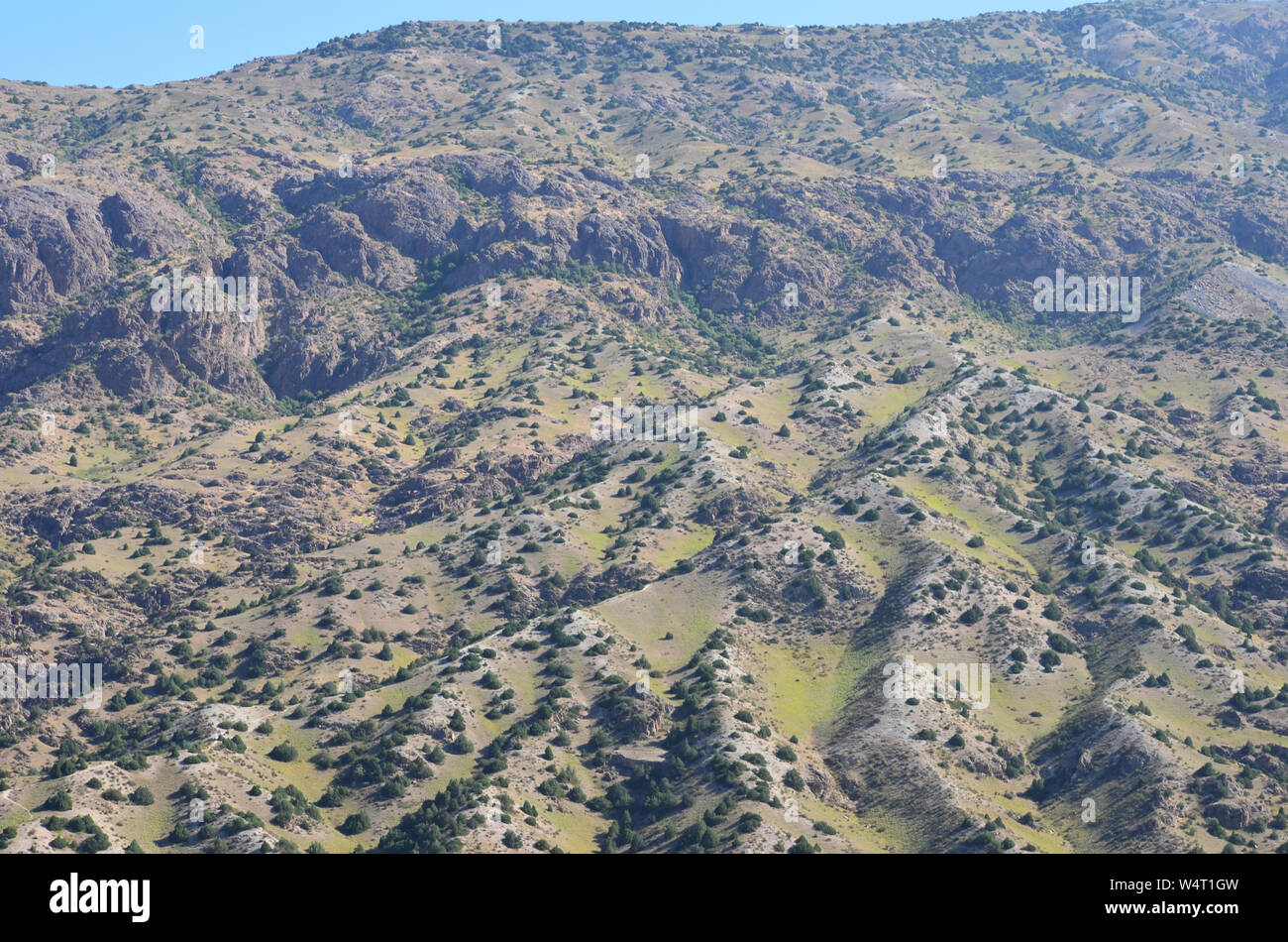 Hissar or Gissar mountains, a nature reserve within the Pamir-Alay range, southeastern Uzbekistan Stock Photo