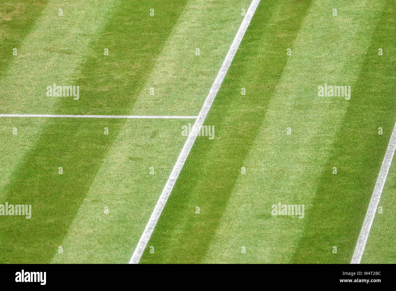 Close-up of a grass tennis court Stock Photo