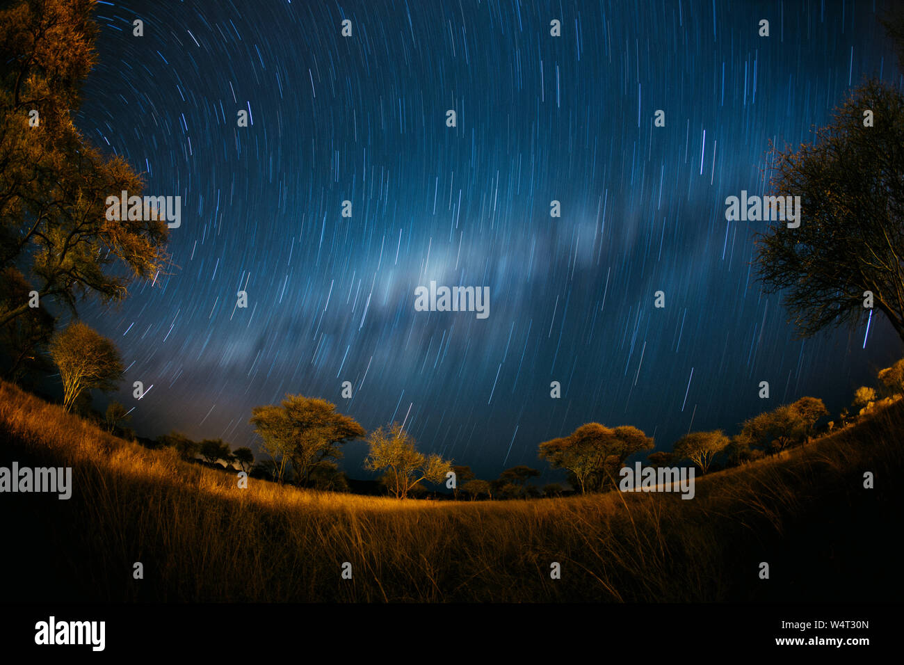 Star trails and the Milky Way, Erindi Game Park, Namibia Stock Photo