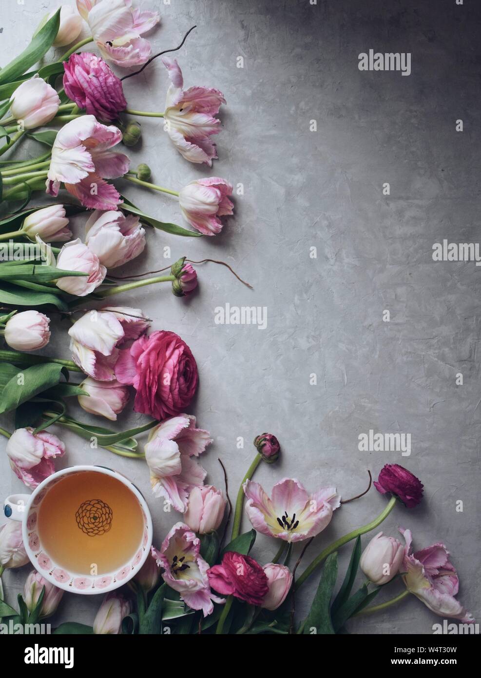 Pink tulips, ranunculus and tea cup Stock Photo